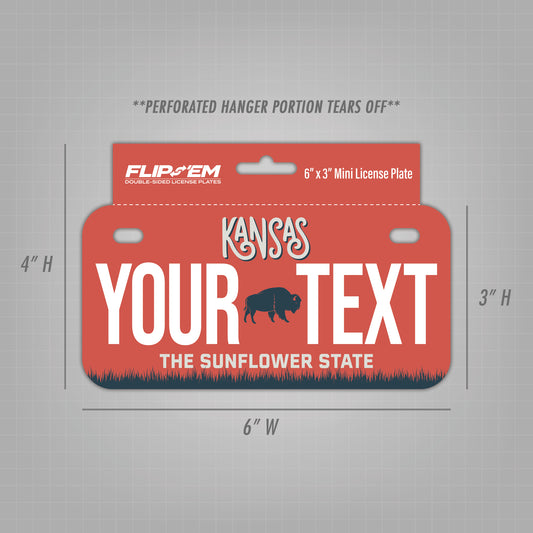 Flip 'Em Double-Sided Tear-Off Mini License Plate with Hanger - (6" x 3")