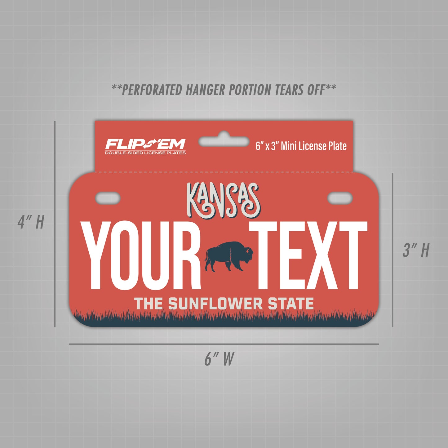 Flip 'Em Double-Sided Tear-Off Mini License Plate with Hanger - (6" x 3")